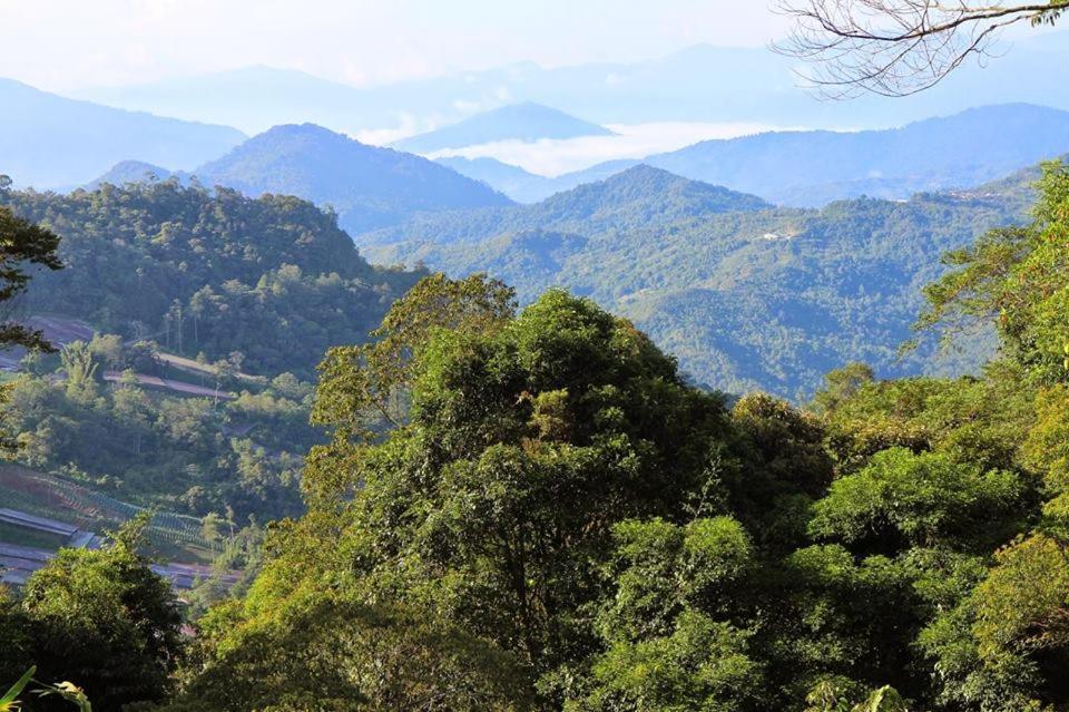 J Residence Kundasang Bagian luar foto
